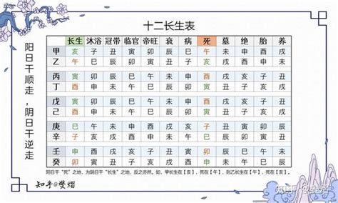 長生十二表|十二长生表（图）详解，五行十二宫运程表解读